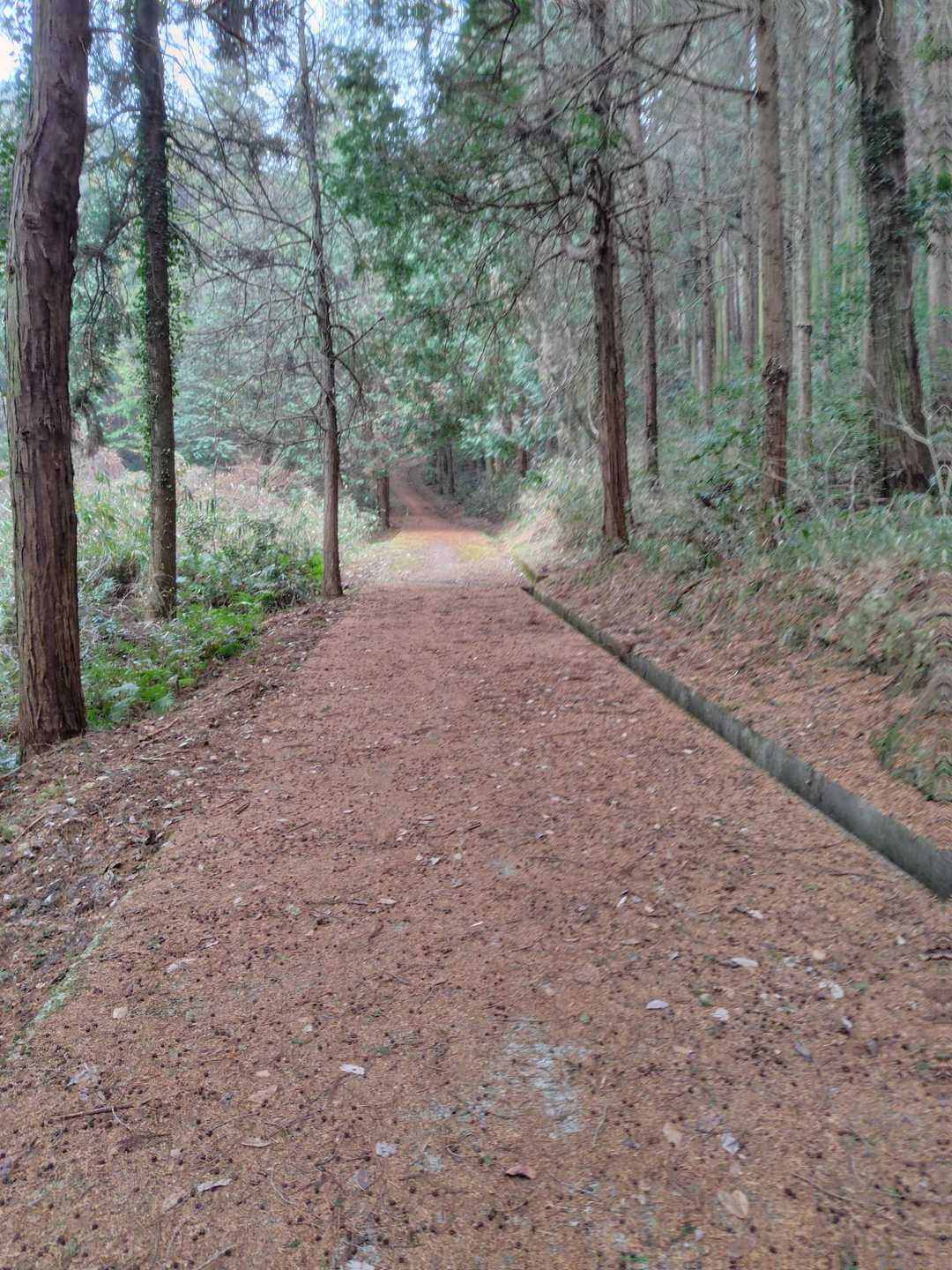 二子山登山口-二子山 周回コースの写真