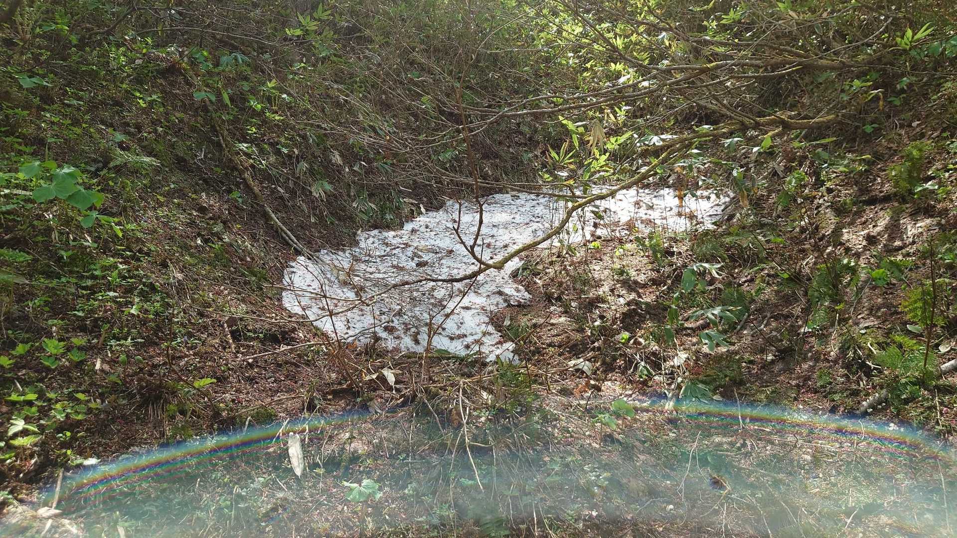 チョットだけ雪が残ってます