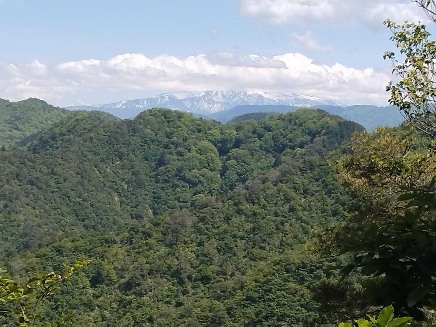 西ノ谷登山口-舟見平-鞍掛山-中ノ谷登山口 周回コースの写真