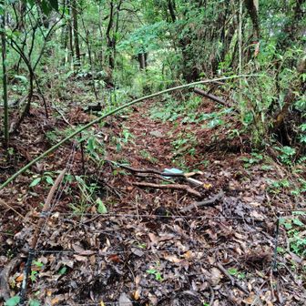 舗装路を少し下って、頑固山への入り口。水色の看板が倒れている。