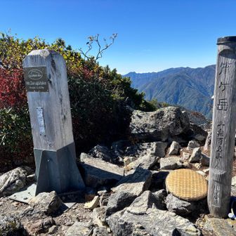 お決まりの笊被り自撮りしましたが••