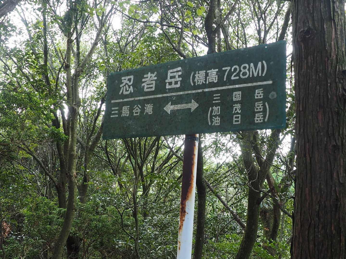 程なく標高728mの忍者岳に到達。