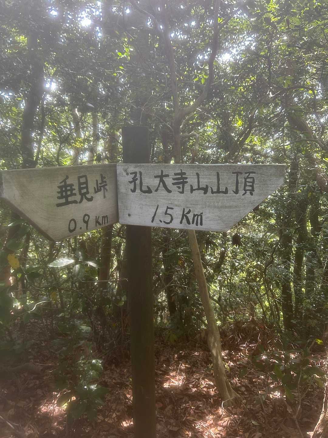 まだ着かない😃