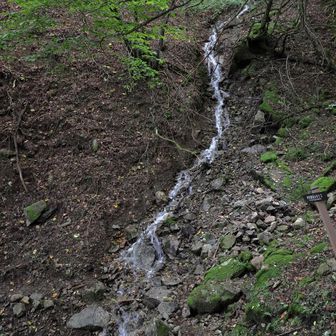 黒岳の斜面をトラバースするトレイルは幅が狭く流され気味、落ち葉も積もり始め注意が必要。
この沢を渡渉。