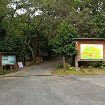 先輩と一緒に森林公園から出発します。