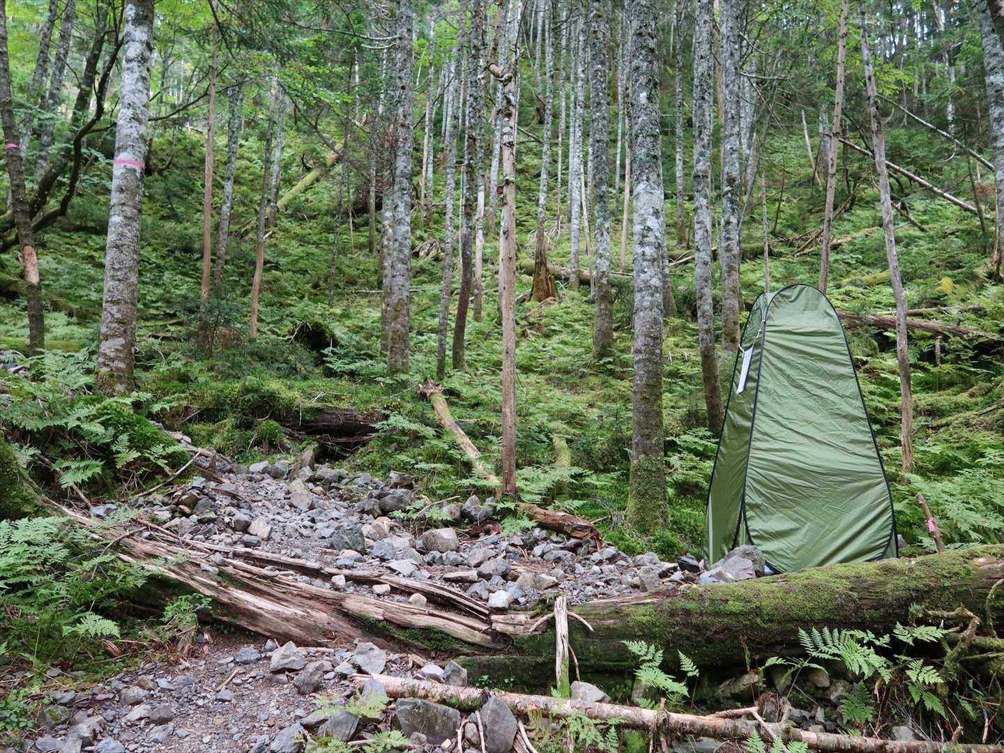 この登山道で２つ目のトイレブースが設置されていました

確かにこのルートは展望が無く日本百名山を目指す登山者以外はあまり登らない様です

