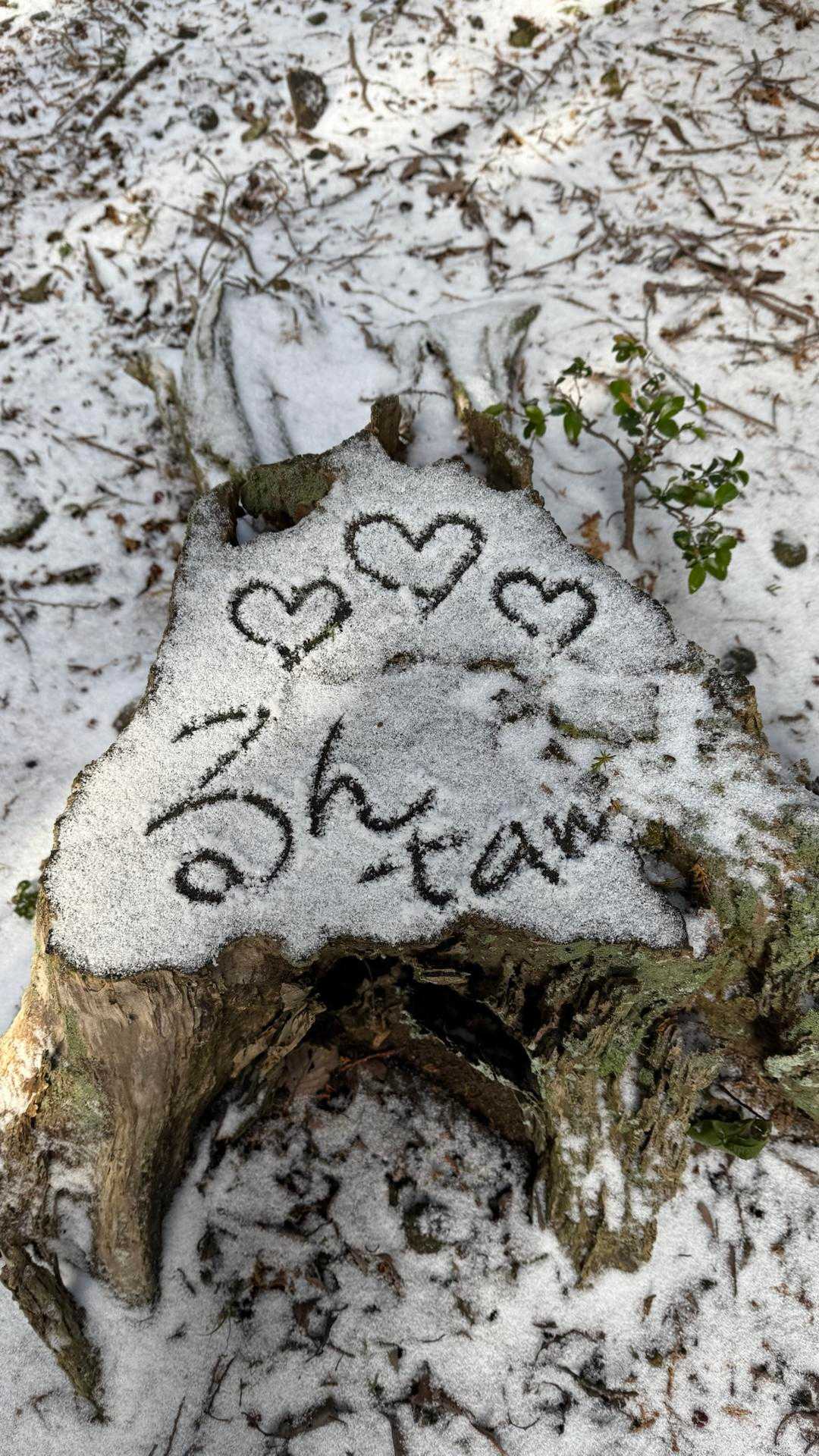 るんtam🫰💕
今年もよろしくお願いします😉