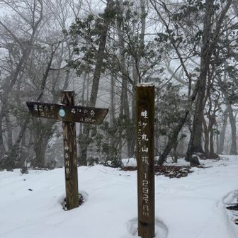 畦ヶ丸到着。標高1292.6m。