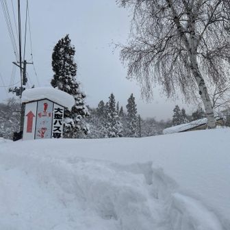 登山口に到着
山容は全く見えません
沢山の登山者で賑わっていました