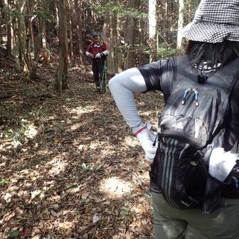 Guest_　　あかいくま　　