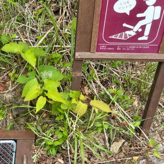 見晴らし平よりスタート