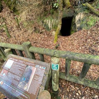 穴の中までは行けなかった