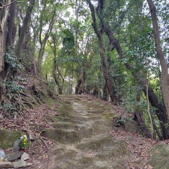 藤白坂を下ります