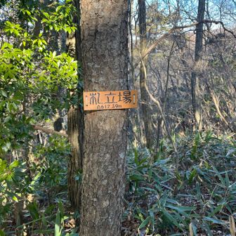 こちらは三角点はあるけどピークにはなってないらしい