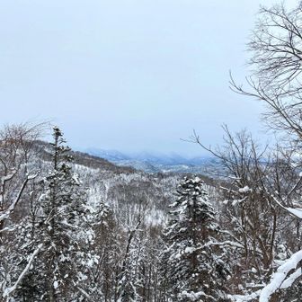 方角的にはもし天気が良かったら
トムラウシが見えたかも🏔️


見たかったなぁ😍


