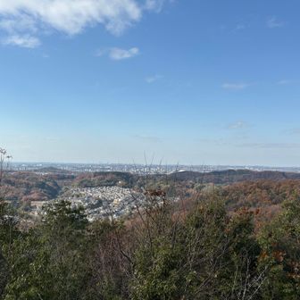 名古屋のビル群まで眺めることができました😄
