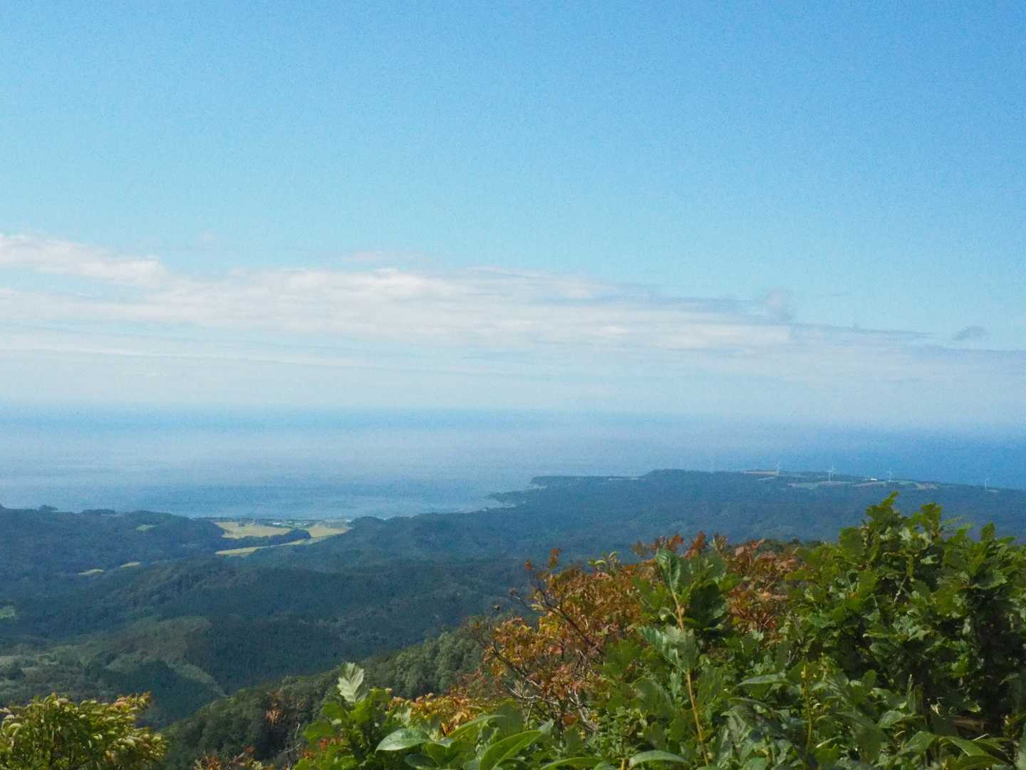 艫作崎、岩崎地区