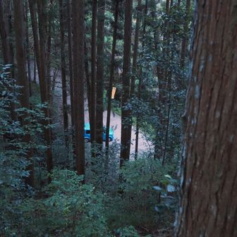 車が見えました。
この道、過去に一回、下山で通ったことがあります。
トータルで考えると、分岐点からは、行きと同じ谷筋の道で降りてきた方が良いと僕は感じました。