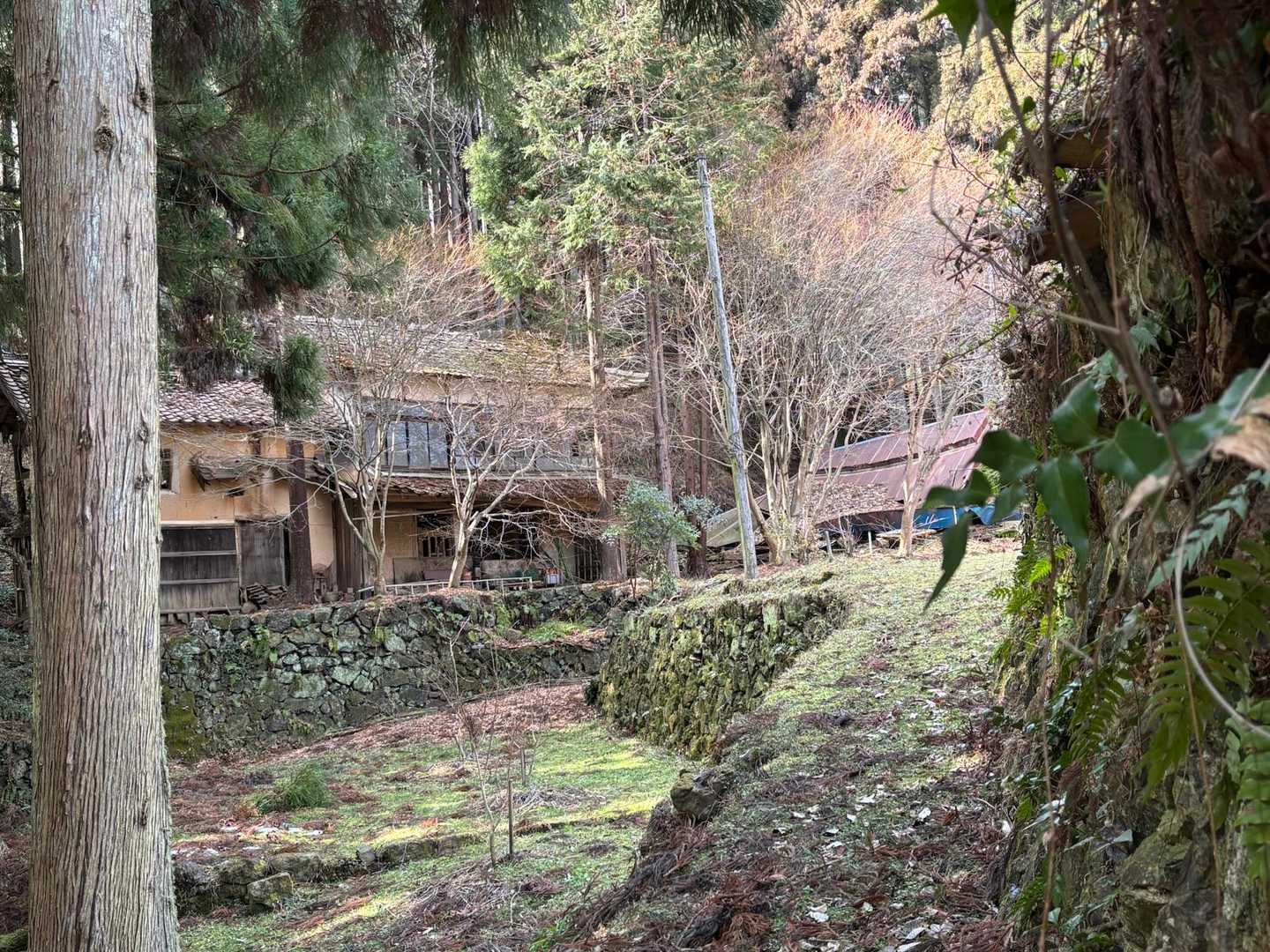きれいな道と石垣と家🏠
まだ住めそうです。