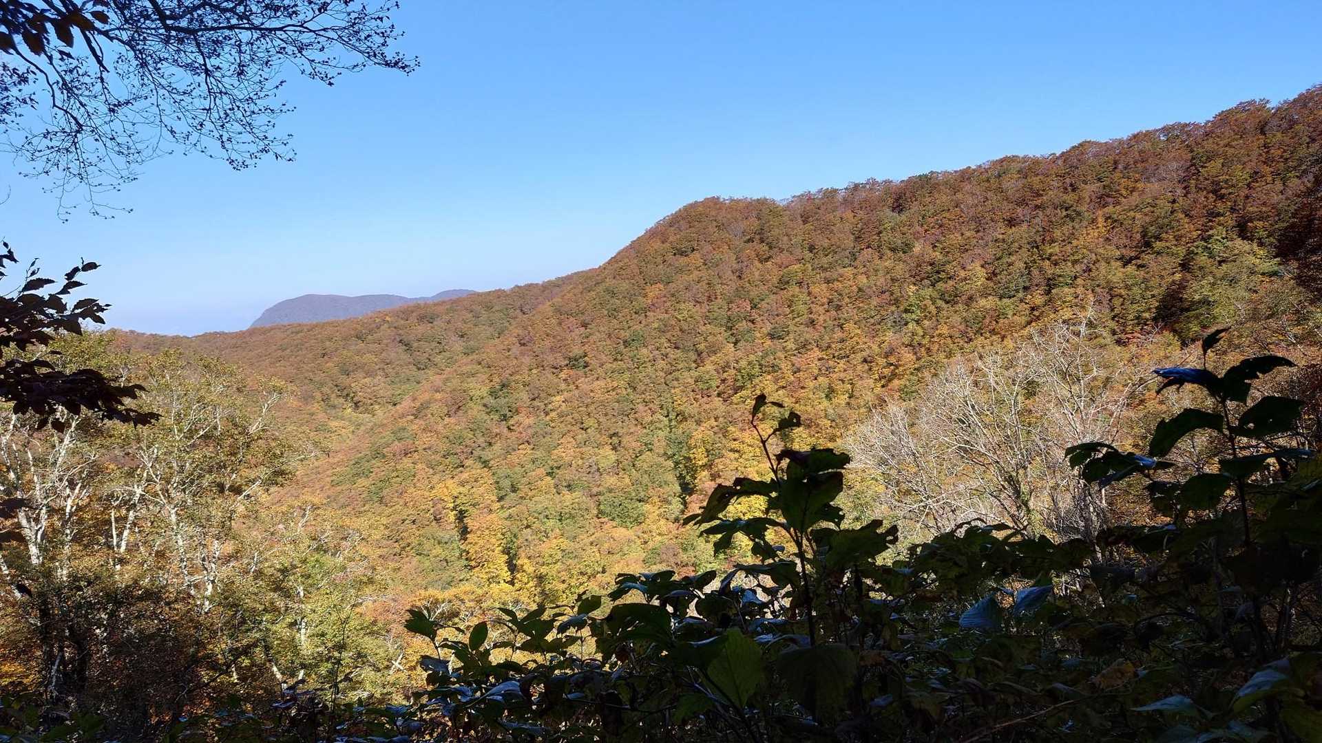 全山紅葉が始まっています
景色を楽しみながらゆっくり、ユックリ