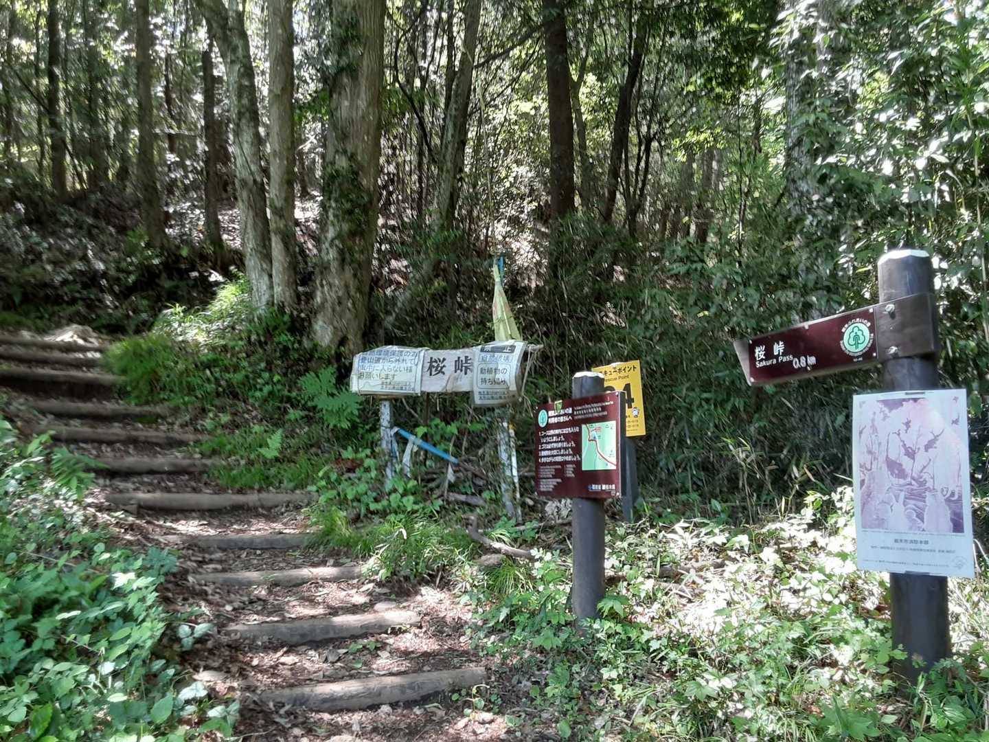 登山開始！