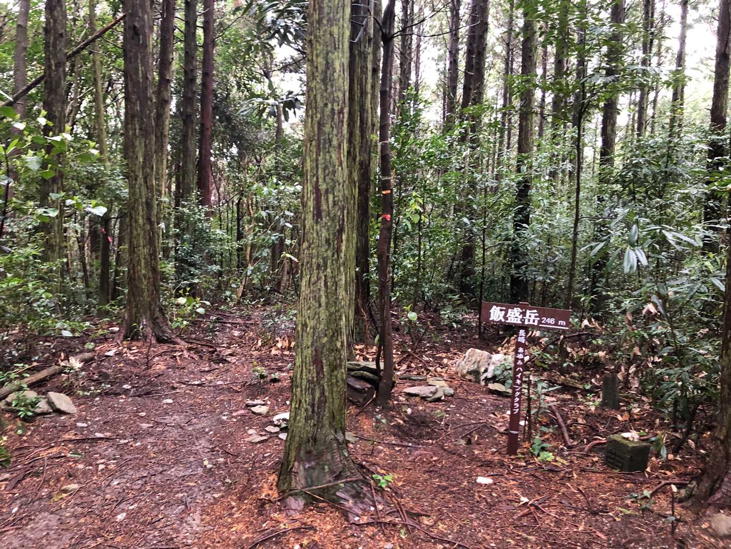 一つ目のピークはここ