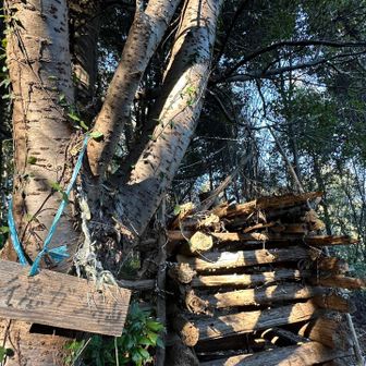『徳願山』
過ぎてしまう所でした💧