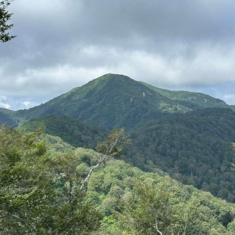 赤兎山目指してます。
先ほどまでいた大長山が⛰️結構頑張ってます‼️