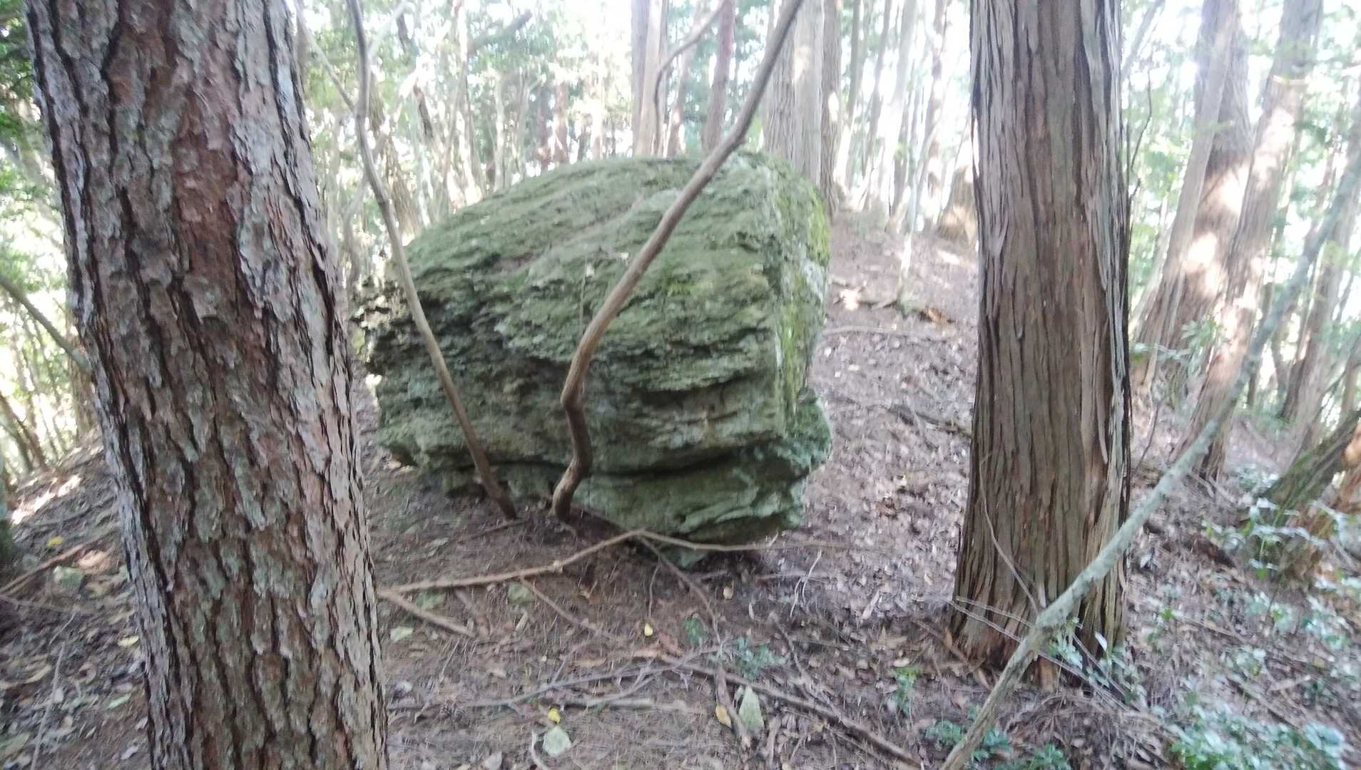 急斜面の下山途中の大岩何故ここにこれだけ。あるの？