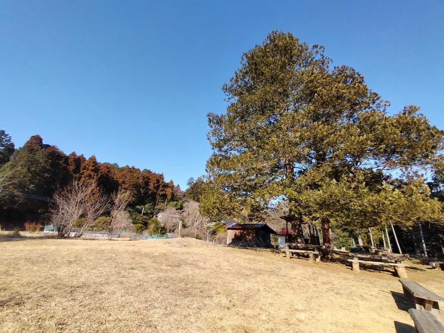 風なくてポカポカ暖かい😌