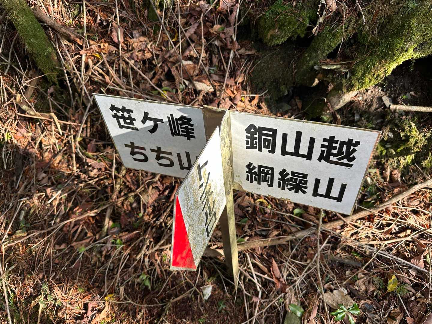 トンネル口から来て、綱繰山へ向かいます⛰️