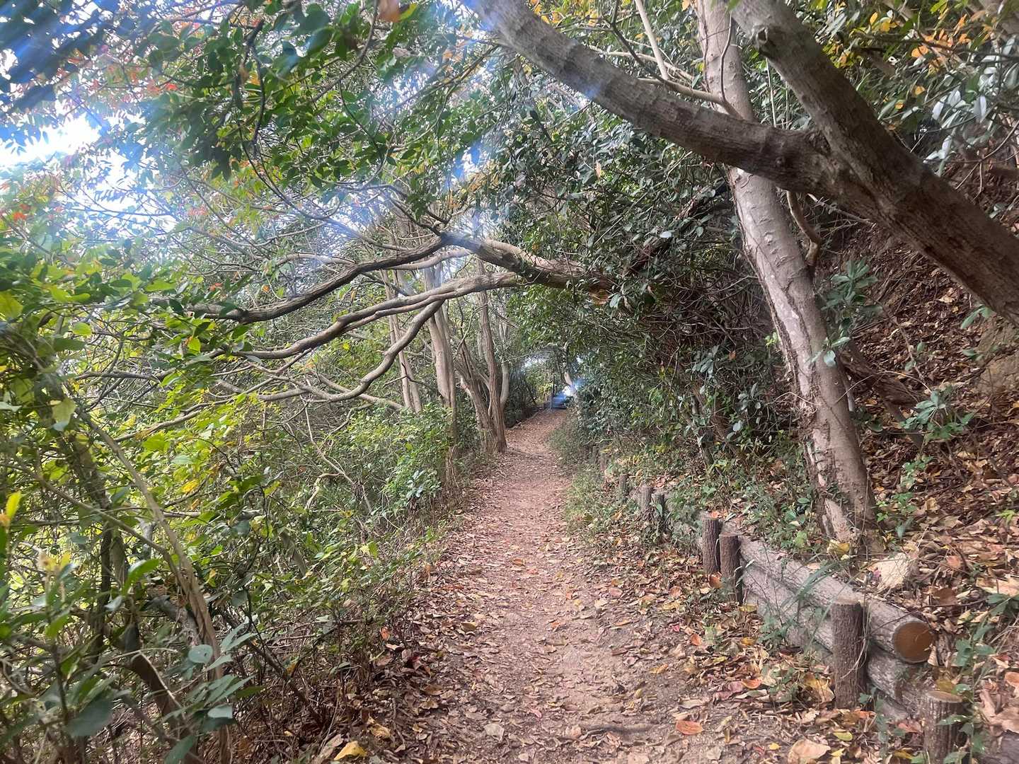 須磨浦公園駅-須磨浦公園駅-須磨浦公園駅前バス停-旗振山- 縦走コースの写真