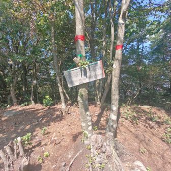 呉娑々宇山北峰ピーク▲
ここも10回目登頂㊗️
ここだけは僅かな微風だったので、しっかりと休憩🥤
本家？の呉娑々宇山より展望良いですね、ココ😁