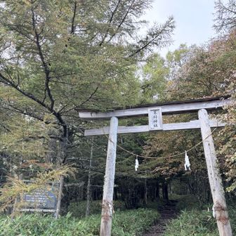 頂上には
蓼科神社奥社が祀られてます
しゅっぱーつ！