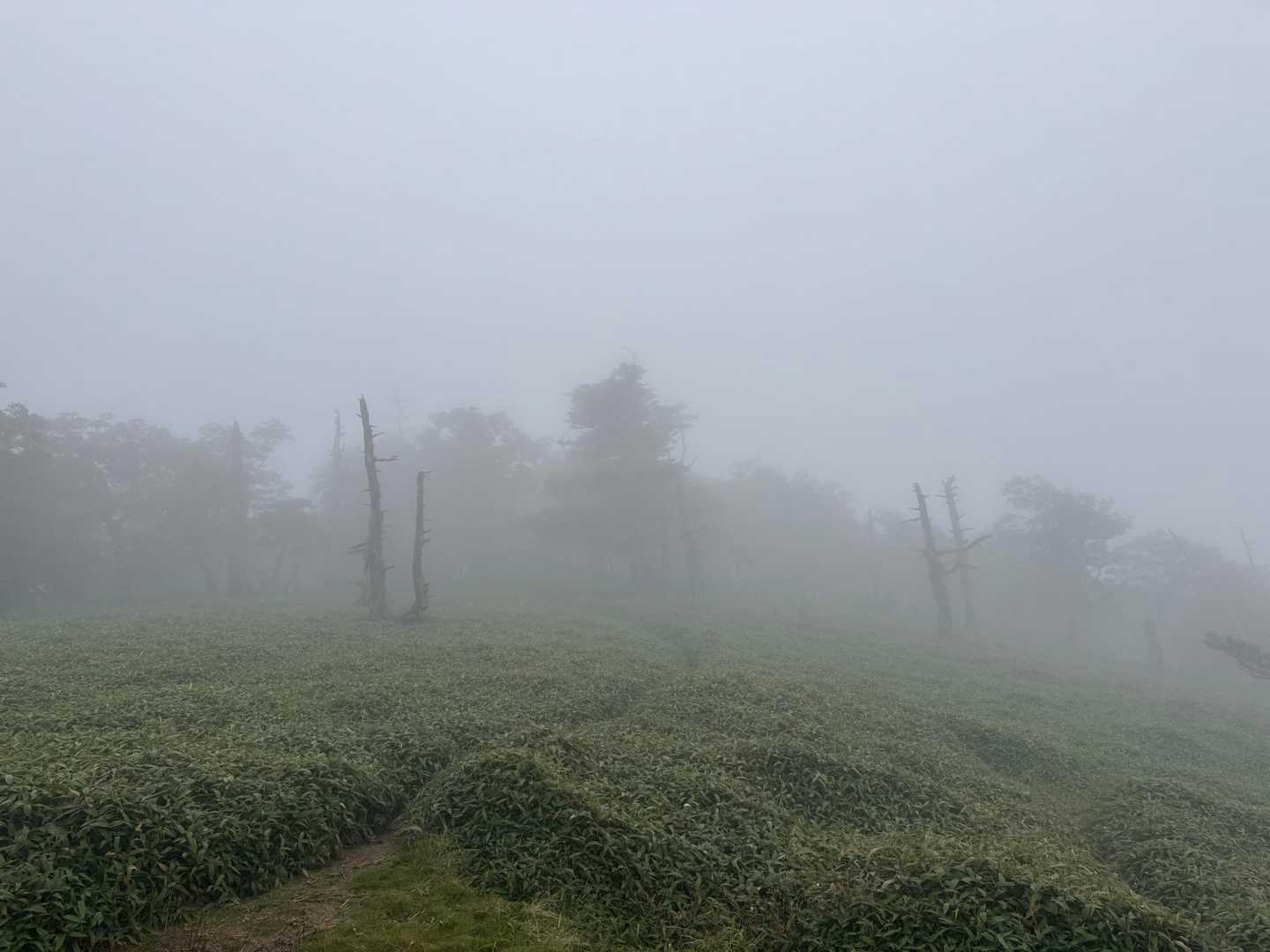 晴れるのを期待したが…😶‍🌫️