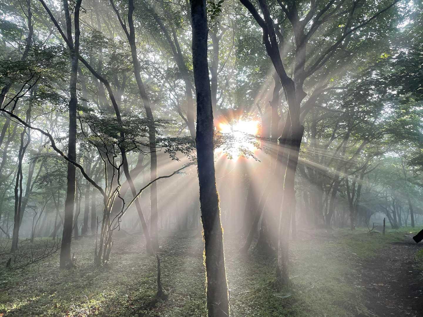 sun sun sun