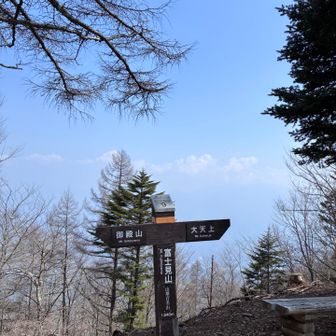 富士見山見晴台から30分で、山頂です！
本当なら、富士山バーンのはずが…