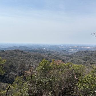 名古屋方面が見えた
