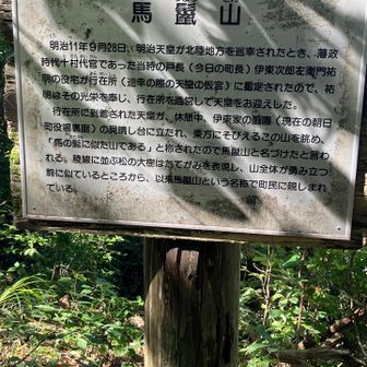 馬鬣山から越山、櫓谷までの往復です