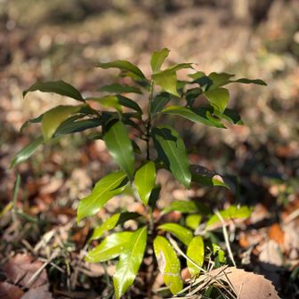 生命のパワー💪
パワースポットってどこにでもある✨