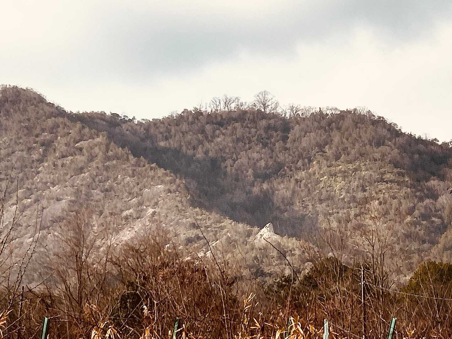 今から登る善防山
久しぶりで楽しみ😊