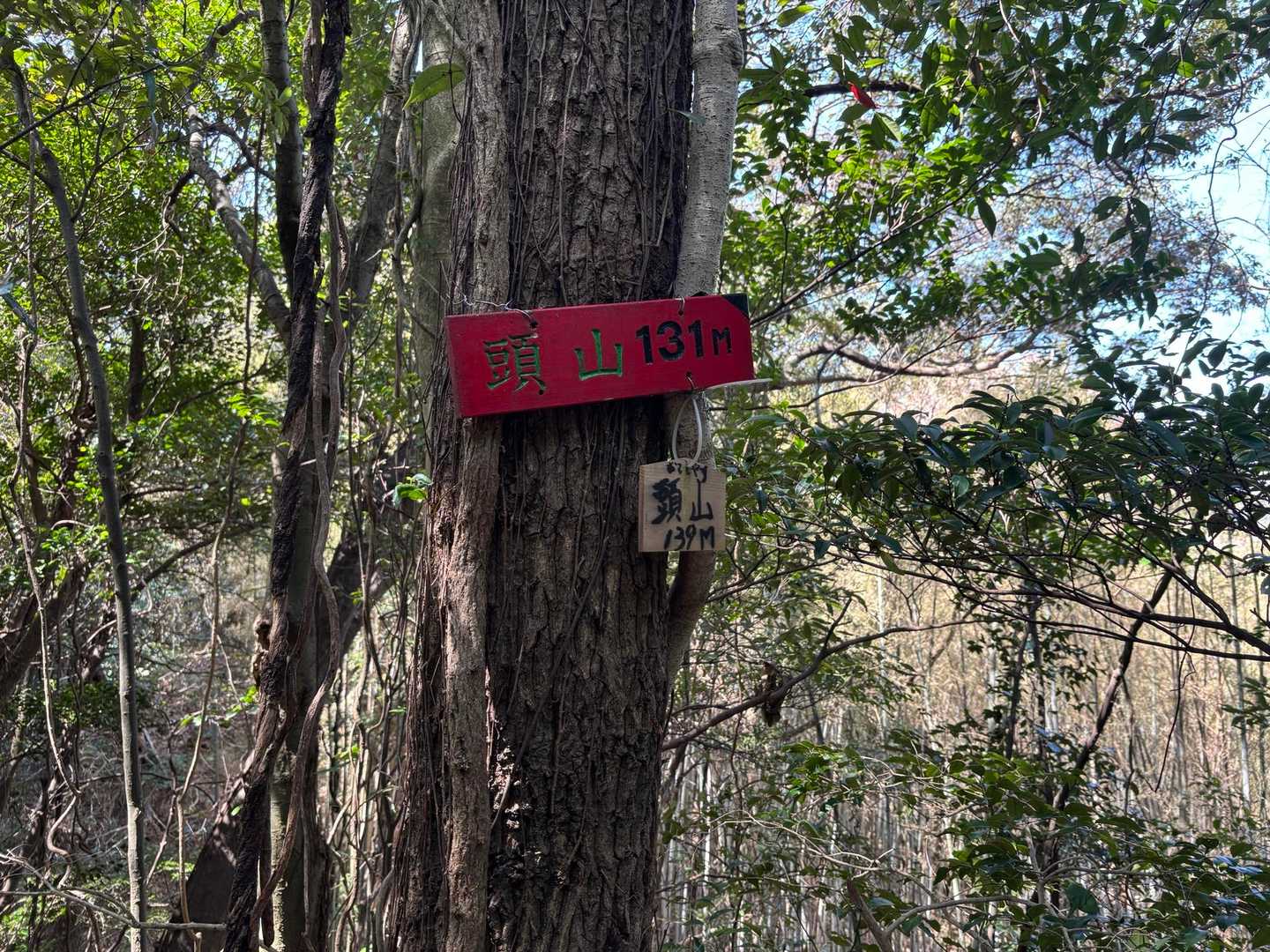 頭山
なかなか山頂プレート見つけられませんでした💦