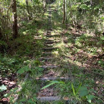 やっぱ山歩きには階段が無いとなあー