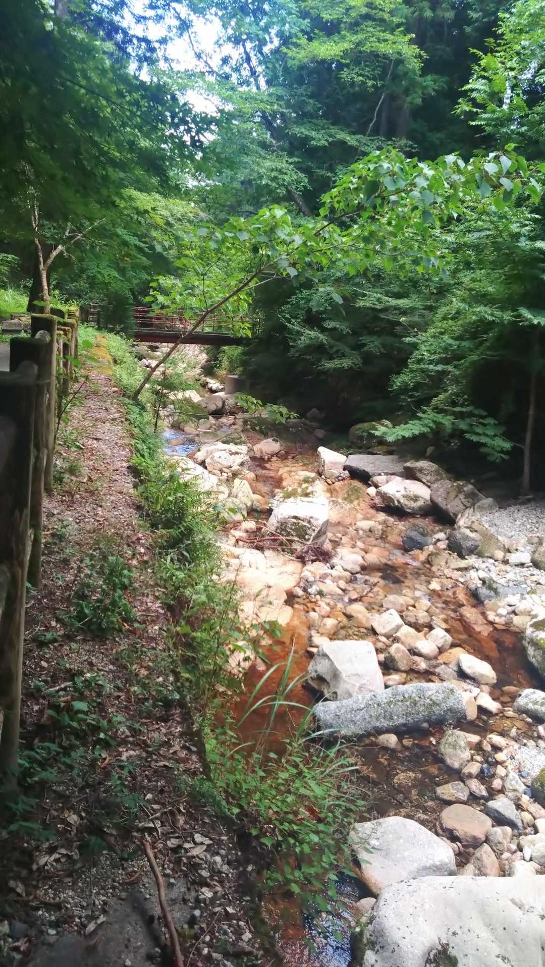 いいお山🌳また違う季節に来てみたい✨️