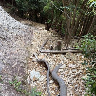ここを右に入って下山開始です。