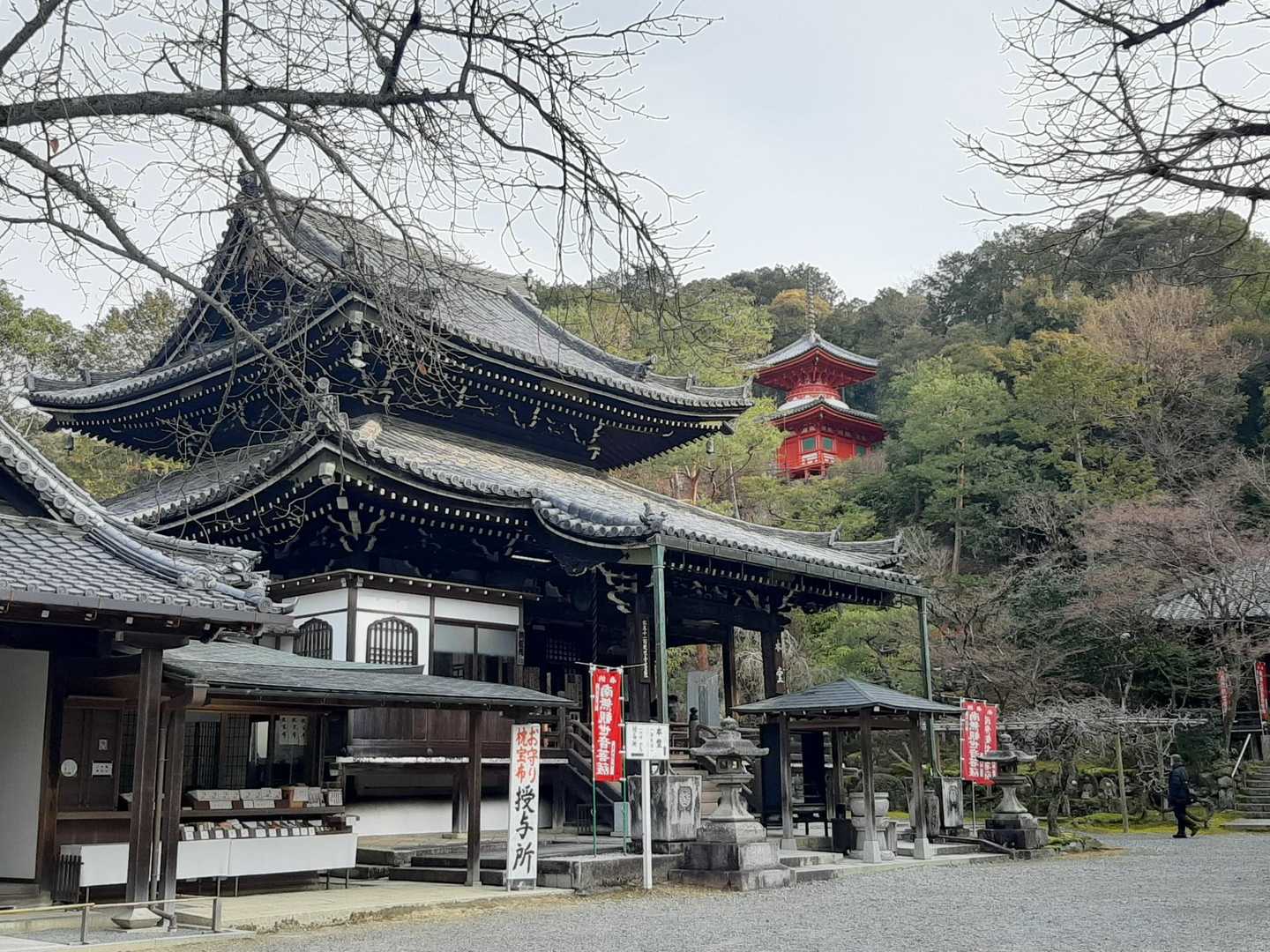 ちょっと寄り道😉
今熊野観音寺
本堂とその奥の朱色は医聖堂と呼ばれる多宝塔やね☺️