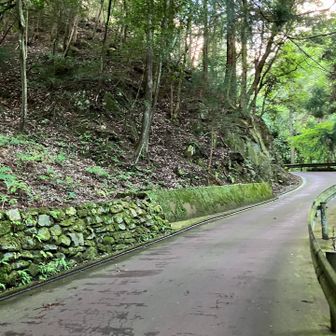 いろいろとあるけどそれらは今後の検討課題ですね📚
今日は山科音羽川沿いのハイキング道を下って、長尾の連滝尾根コースの起点を過ぎると、．．．