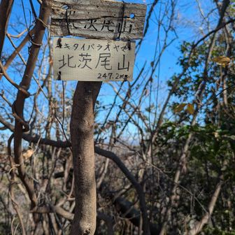 24　北茨尾山