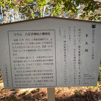 八王子の謂れとお社のいきさつが分かる