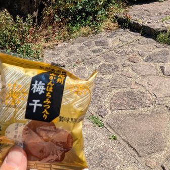 塩分チャージ